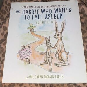 The Rabbit Who Wants to Fall Asleep Book